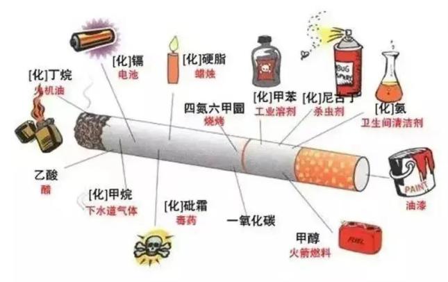 新澳门全年免费原料网